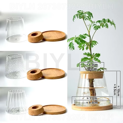 Florero de Vidrio para Plantas Hidropónicas y Decoración